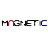 Magnetic IT Services - Firma de Servicii, Consultanta IT